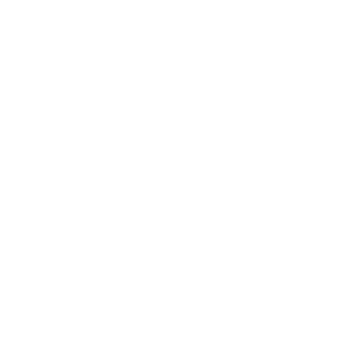 Full Value Potential logo